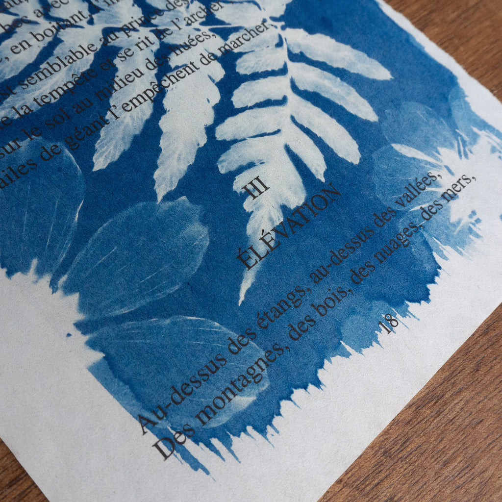 Cyanotype sur poésie - L'Albatros