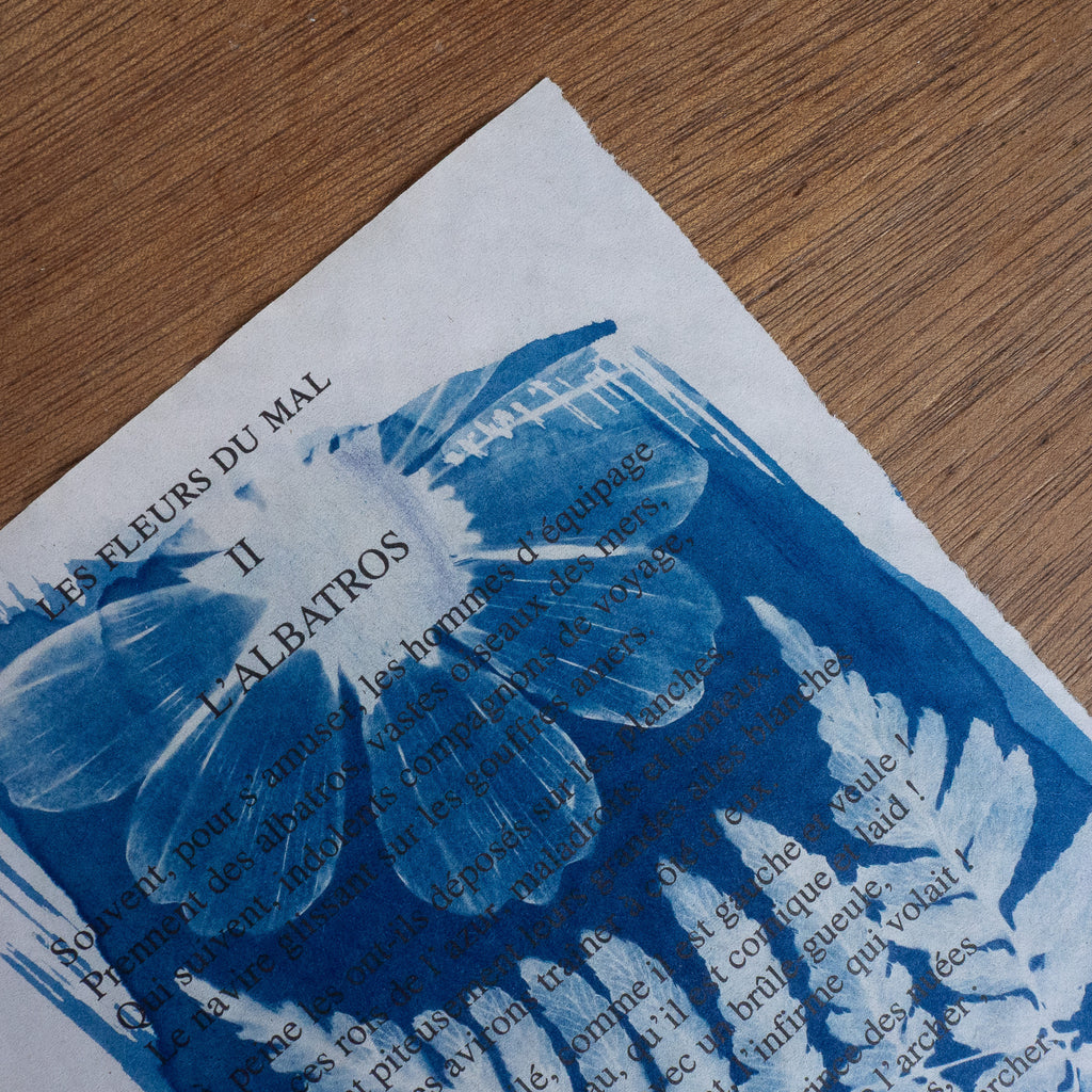 Cyanotype sur poésie - L'Albatros