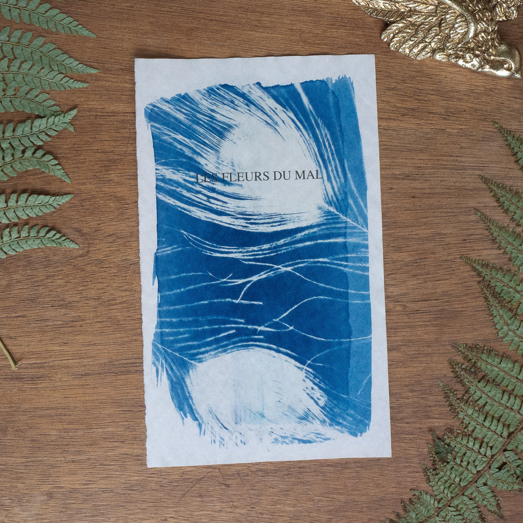 Cyanotype sur poésie - Les Fleurs Du Mal
