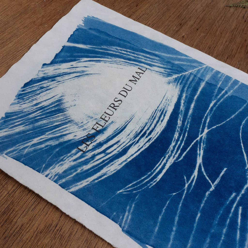 Cyanotype sur poésie - Les Fleurs Du Mal