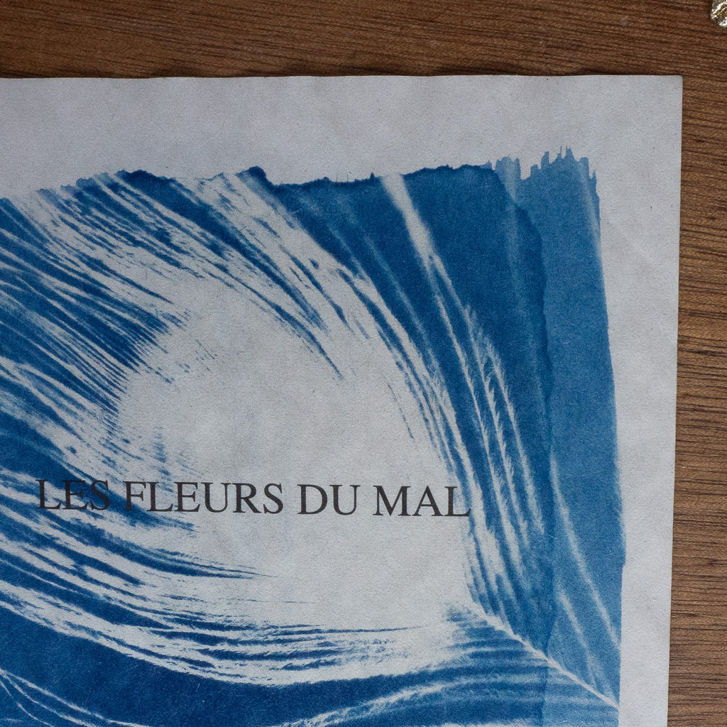 Cyanotype sur poésie - Les Fleurs Du Mal