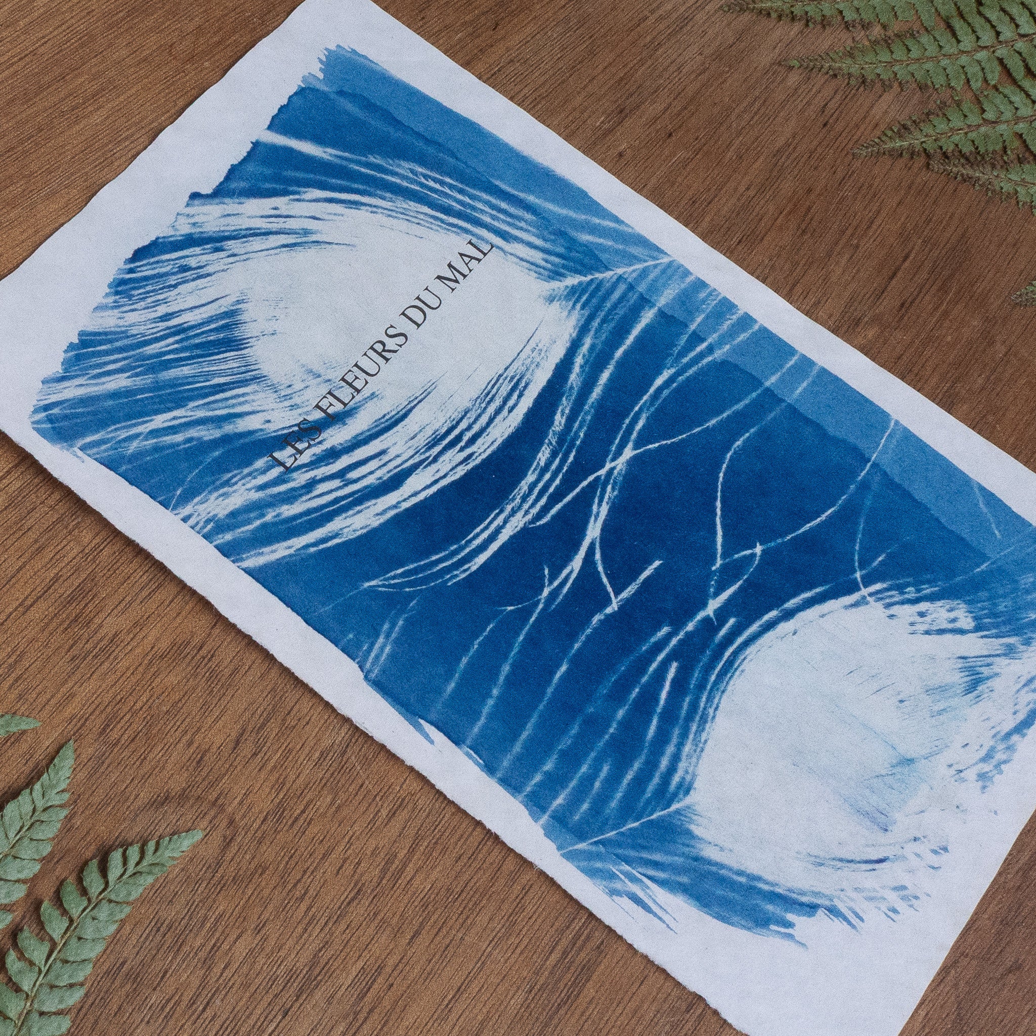 Cyanotype sur poésie - Les Fleurs Du Mal