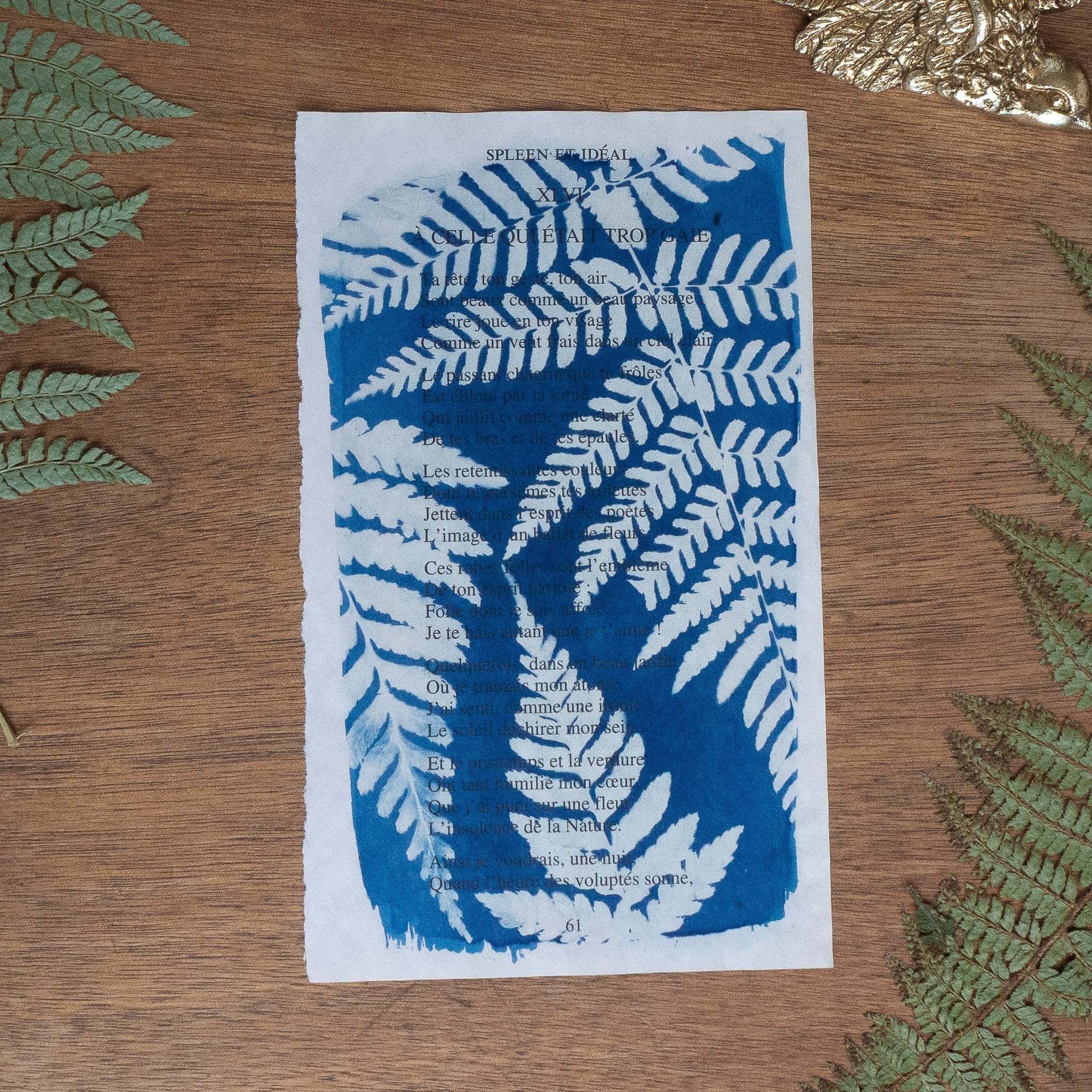Cyanotype sur poésie - A Celle Qui Etait Trop Gaie