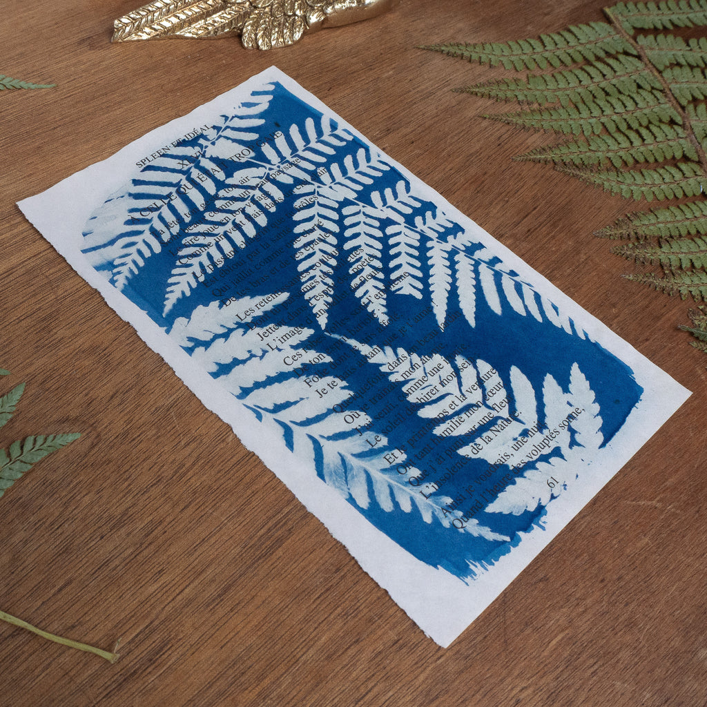 Cyanotype sur poésie - A Celle Qui Etait Trop Gaie