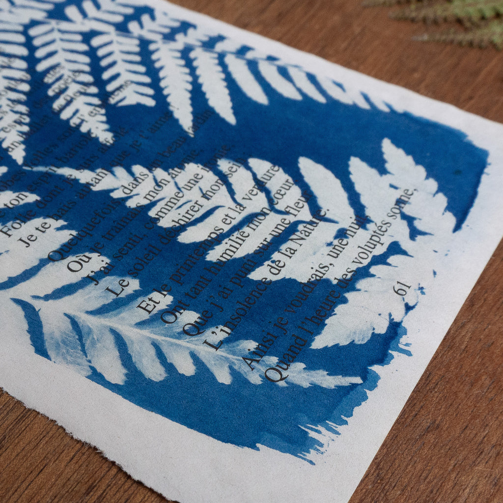 Cyanotype sur poésie - A Celle Qui Etait Trop Gaie