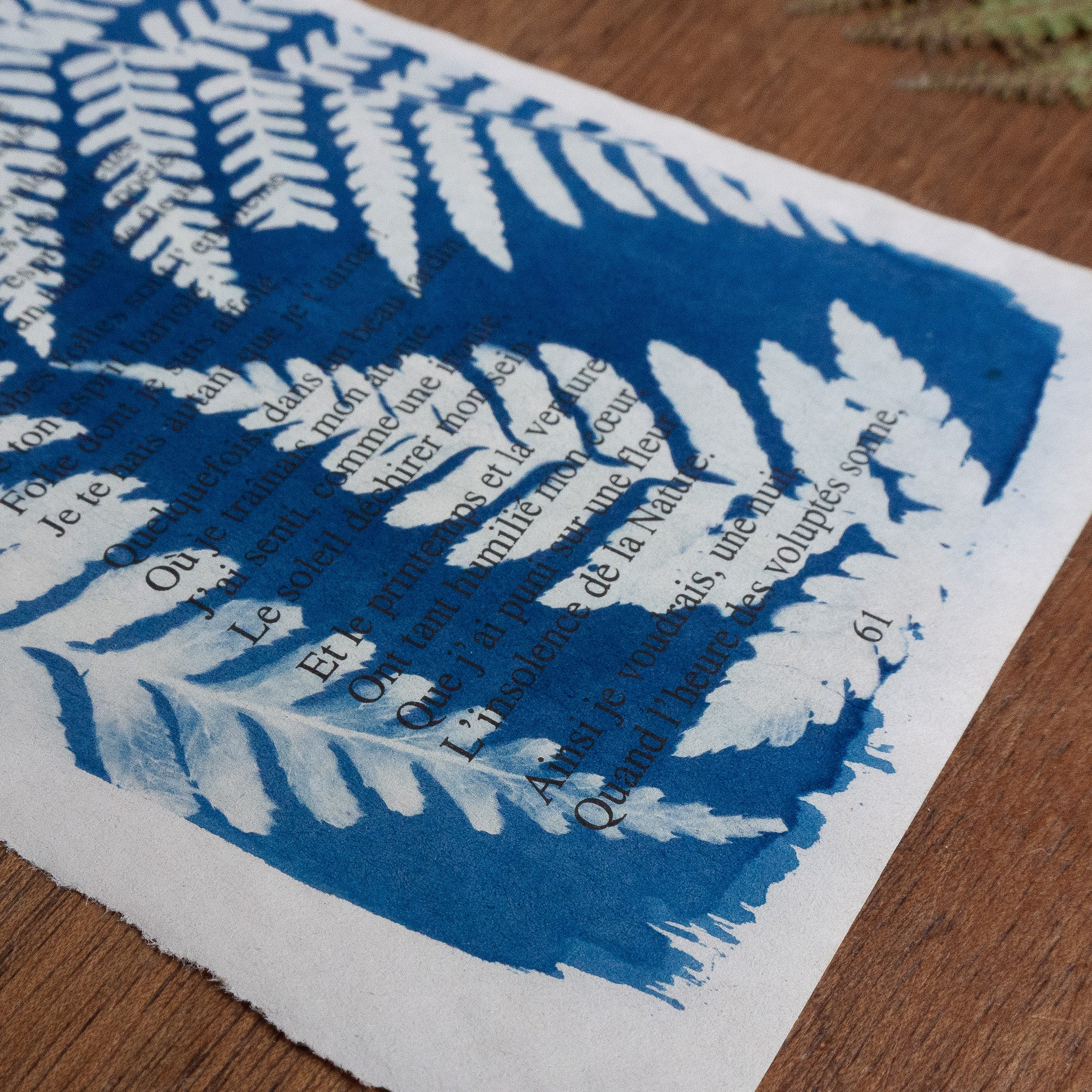 Cyanotype sur poésie - A Celle Qui Etait Trop Gaie
