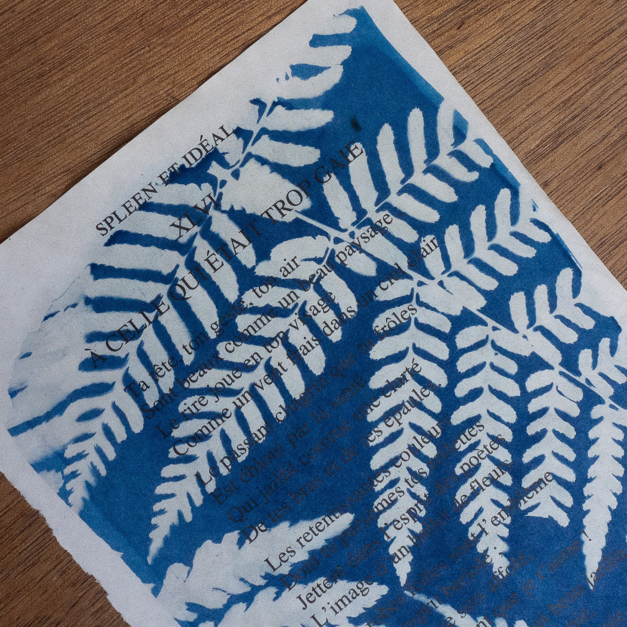 Cyanotype sur poésie - A Celle Qui Etait Trop Gaie