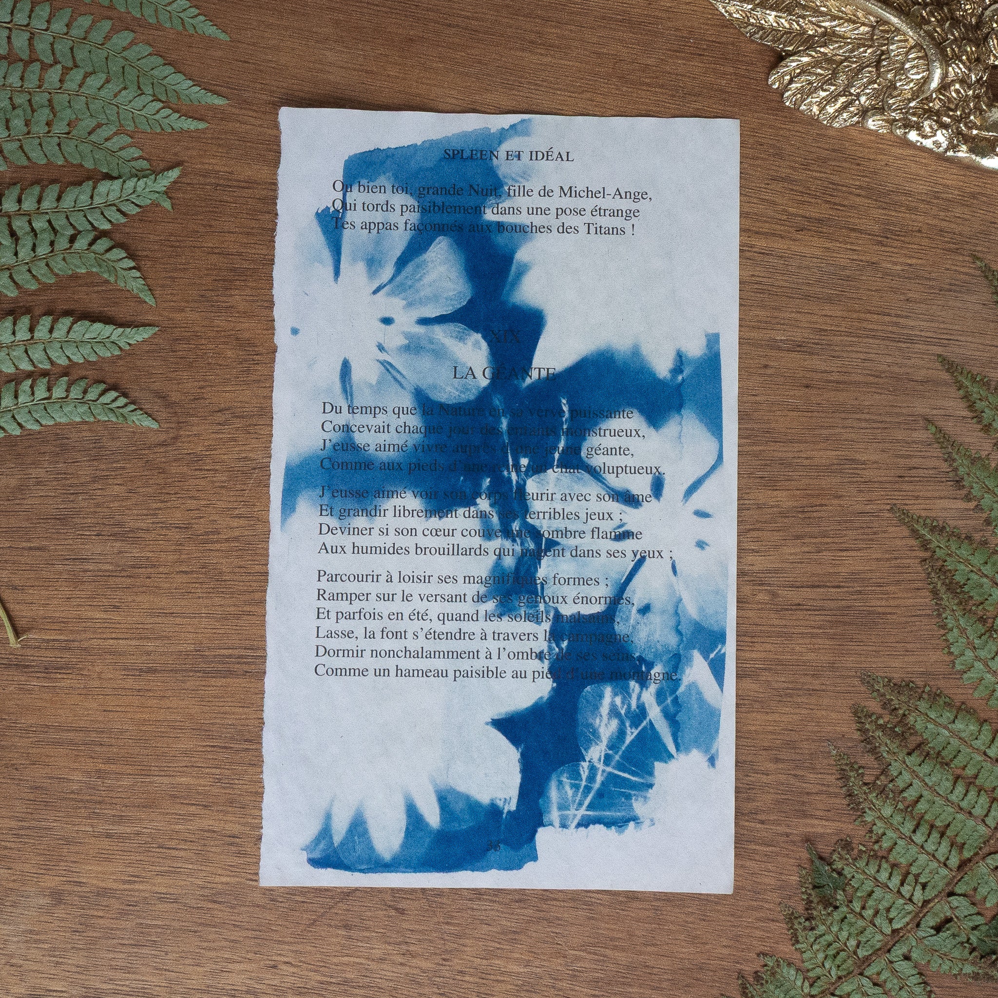Cyanotype sur poésie - La Géante