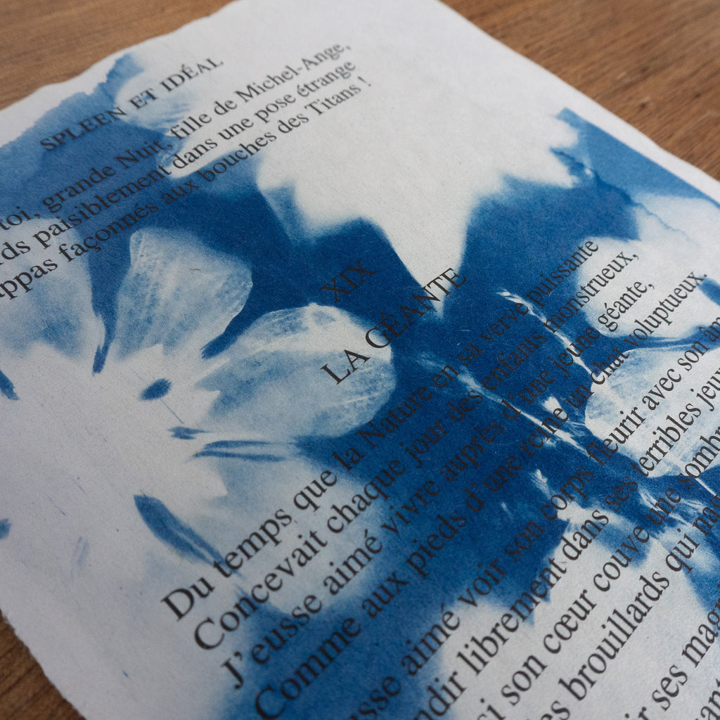 Cyanotype sur poésie - La Géante