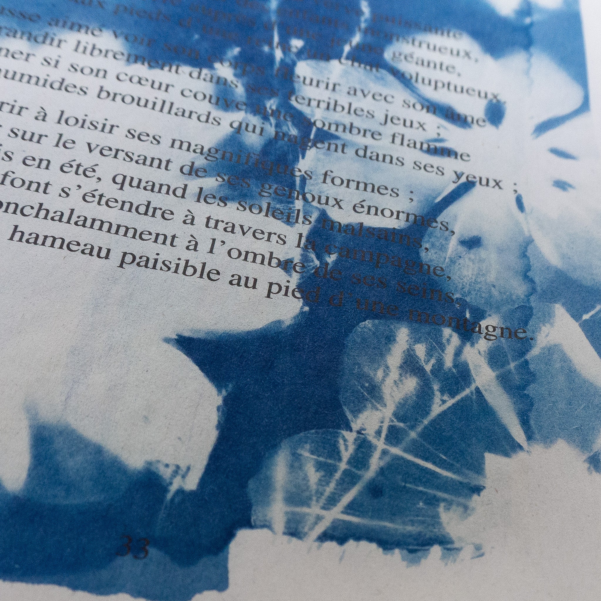 Cyanotype sur poésie - La Géante