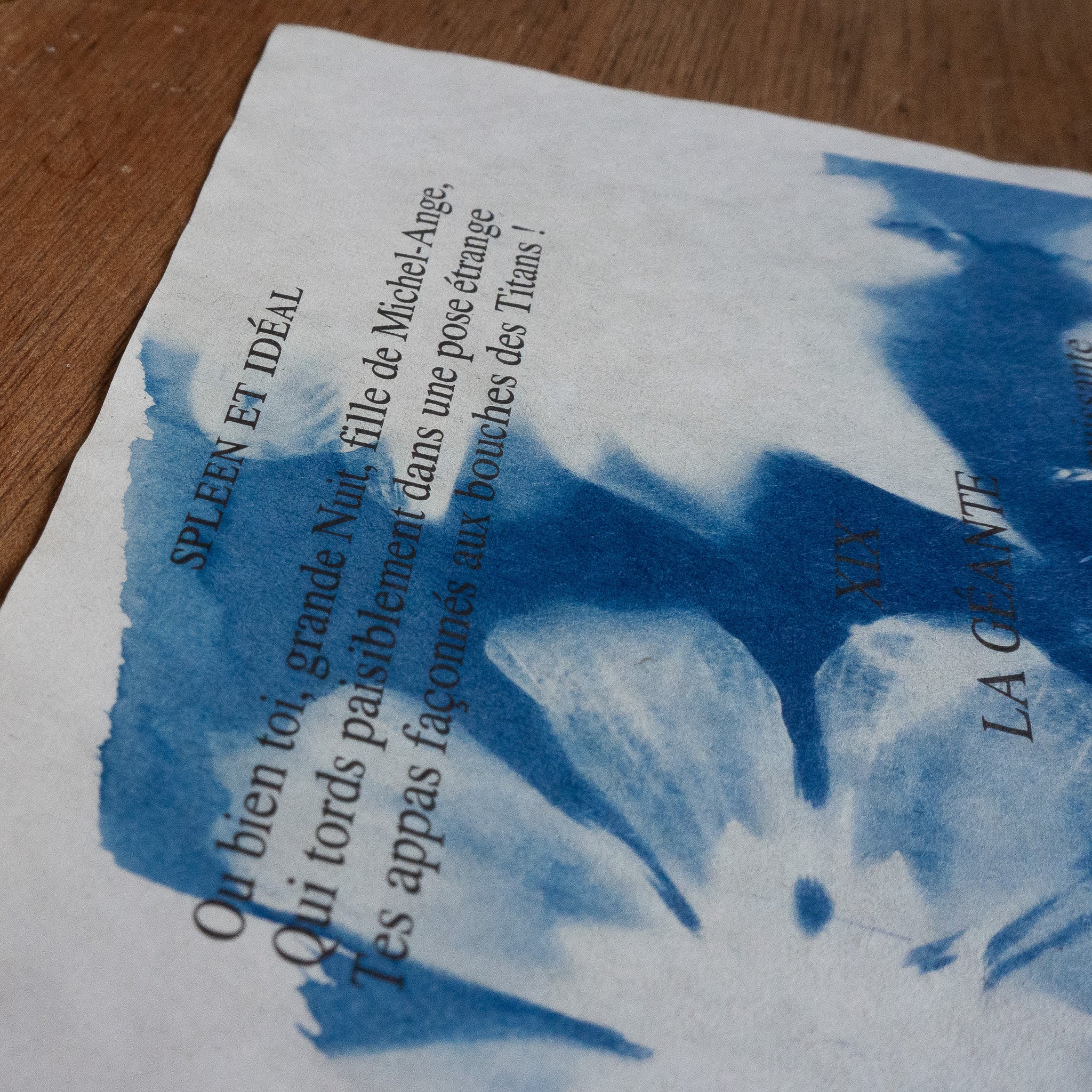 Cyanotype sur poésie - La Géante