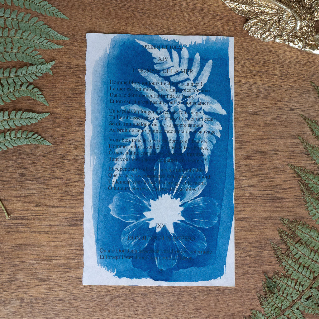 Cyanotype sur poésie - L'Homme Et La Mer