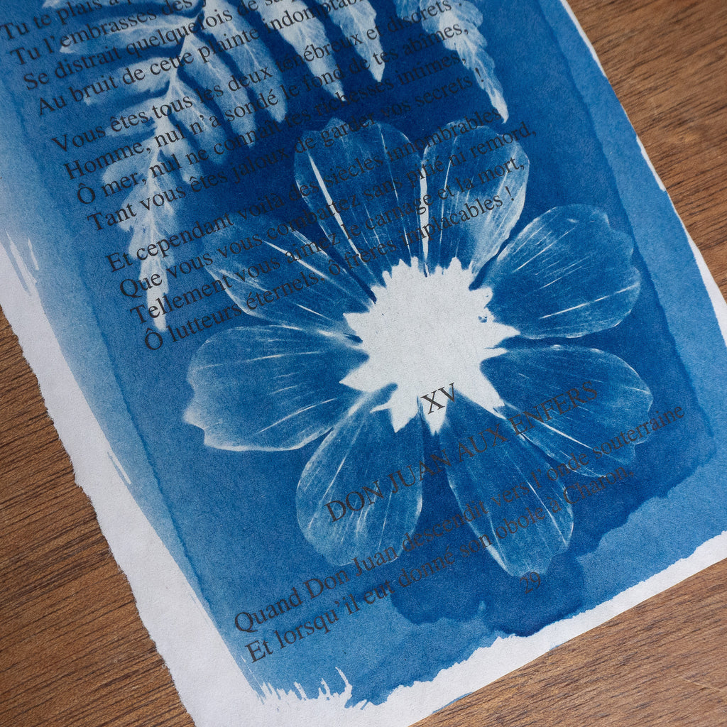 Cyanotype sur poésie - L'Homme Et La Mer