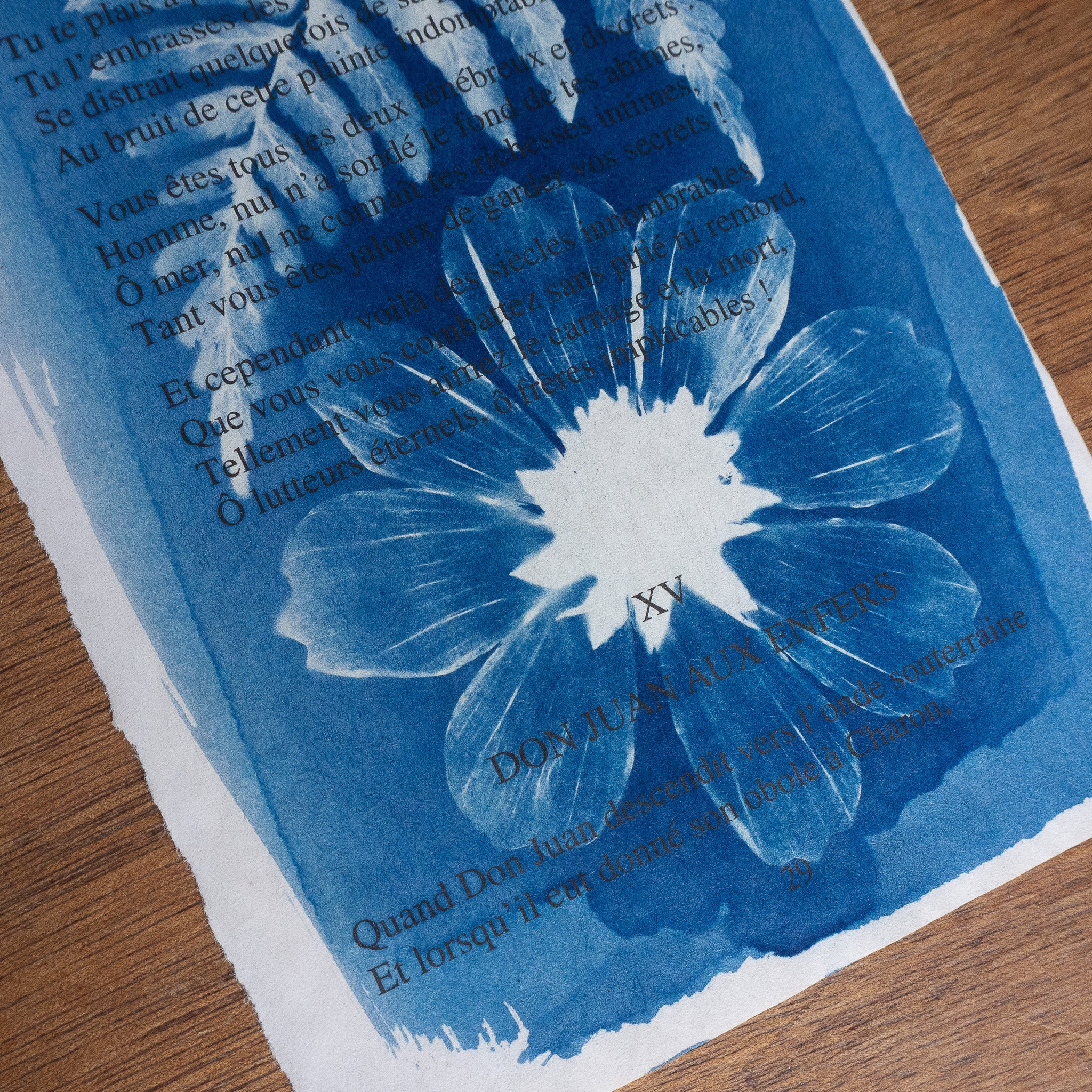 Cyanotype sur poésie - L'Homme Et La Mer