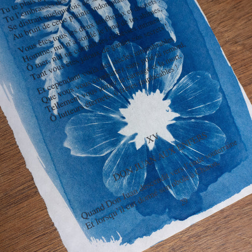 Cyanotype on poetry - The Man And The Sea