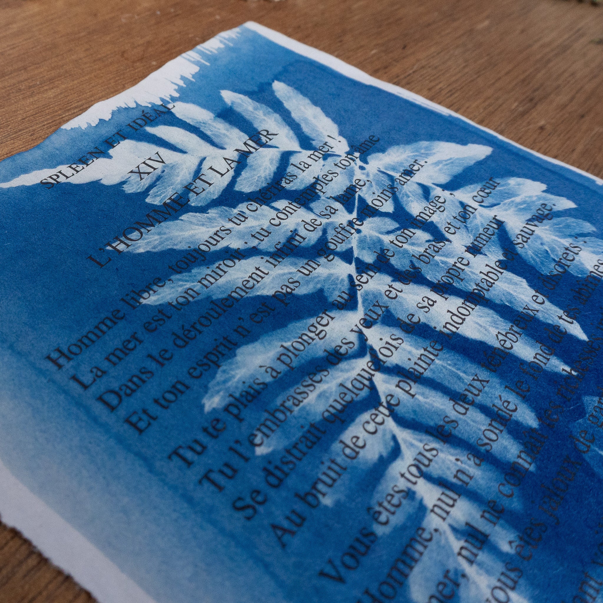 Cyanotype sur poésie - L'Homme Et La Mer