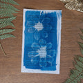 Cyanotype sur poésie - La Muse Vénale