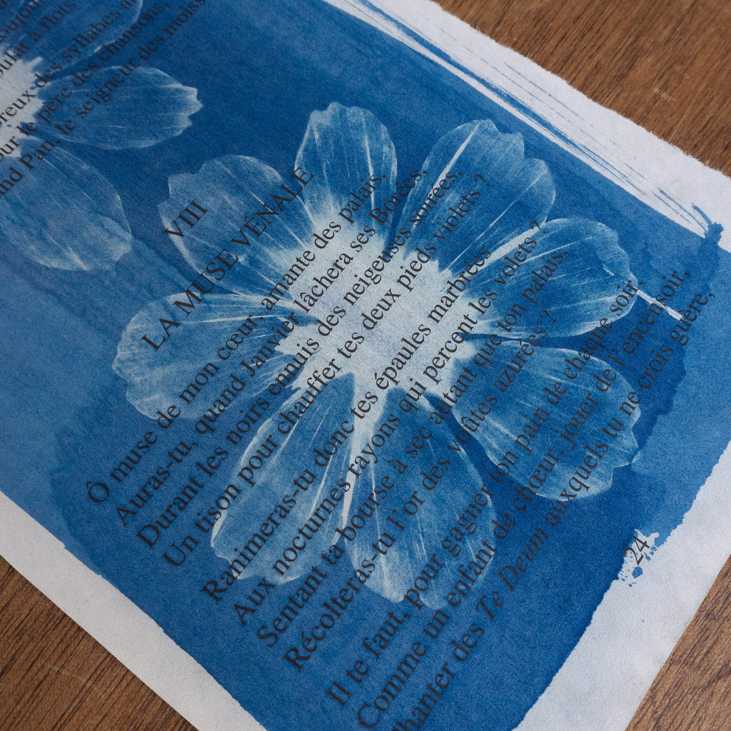 Cyanotype sur poésie - La Muse Vénale