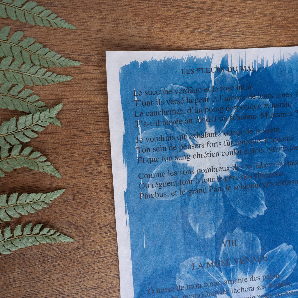 Cyanotype sur poésie - La Muse Vénale