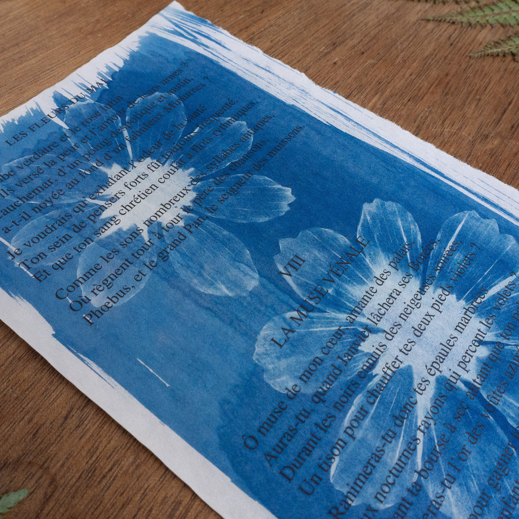 Cyanotype sur poésie - La Muse Vénale