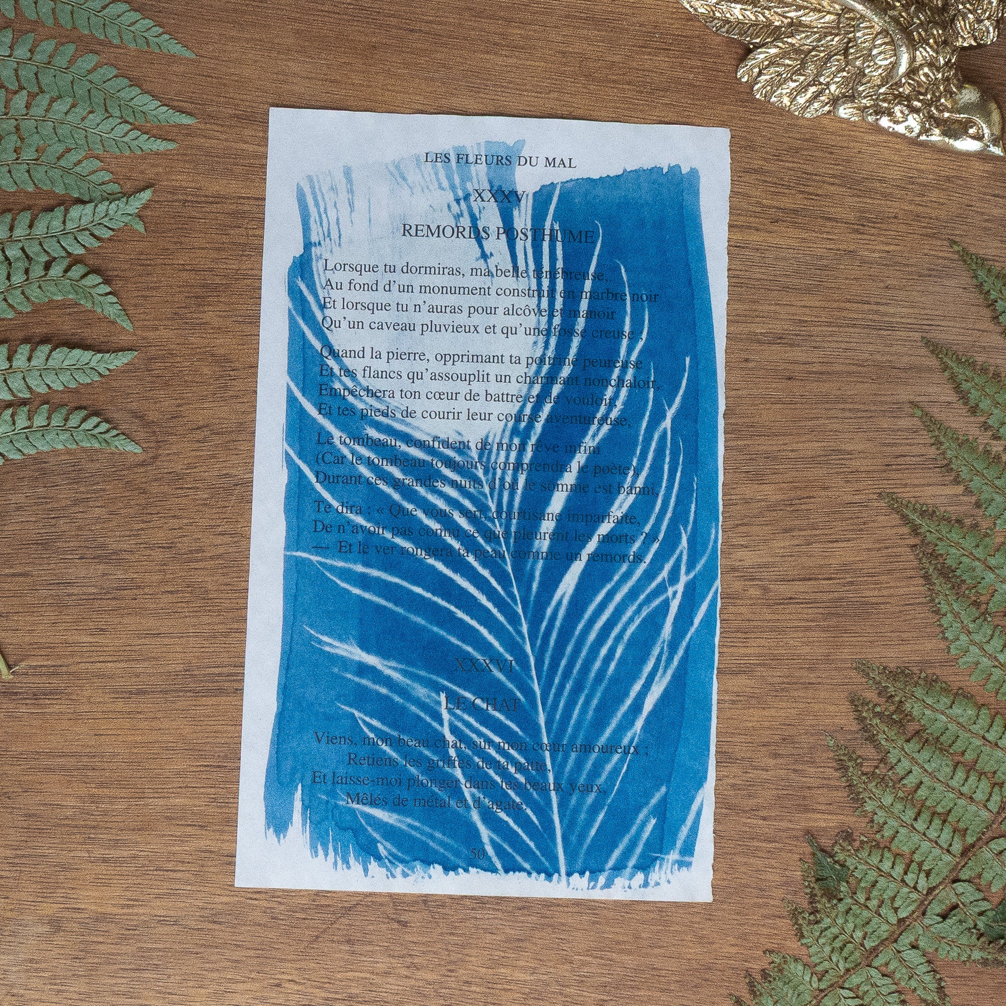 Cyanotype sur poésie - Remords Posthume / Le Chat