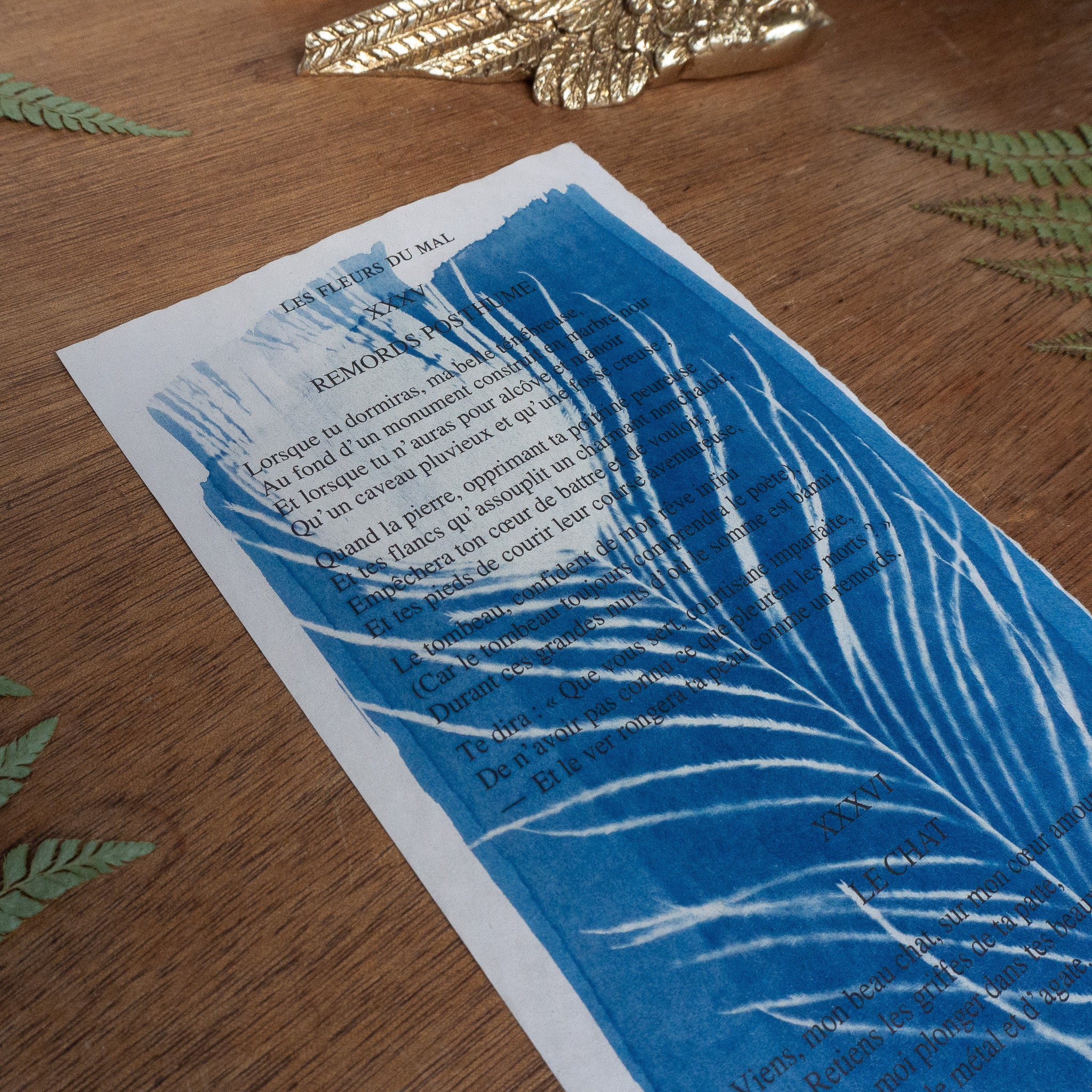 Cyanotype sur poésie - Remords Posthume / Le Chat