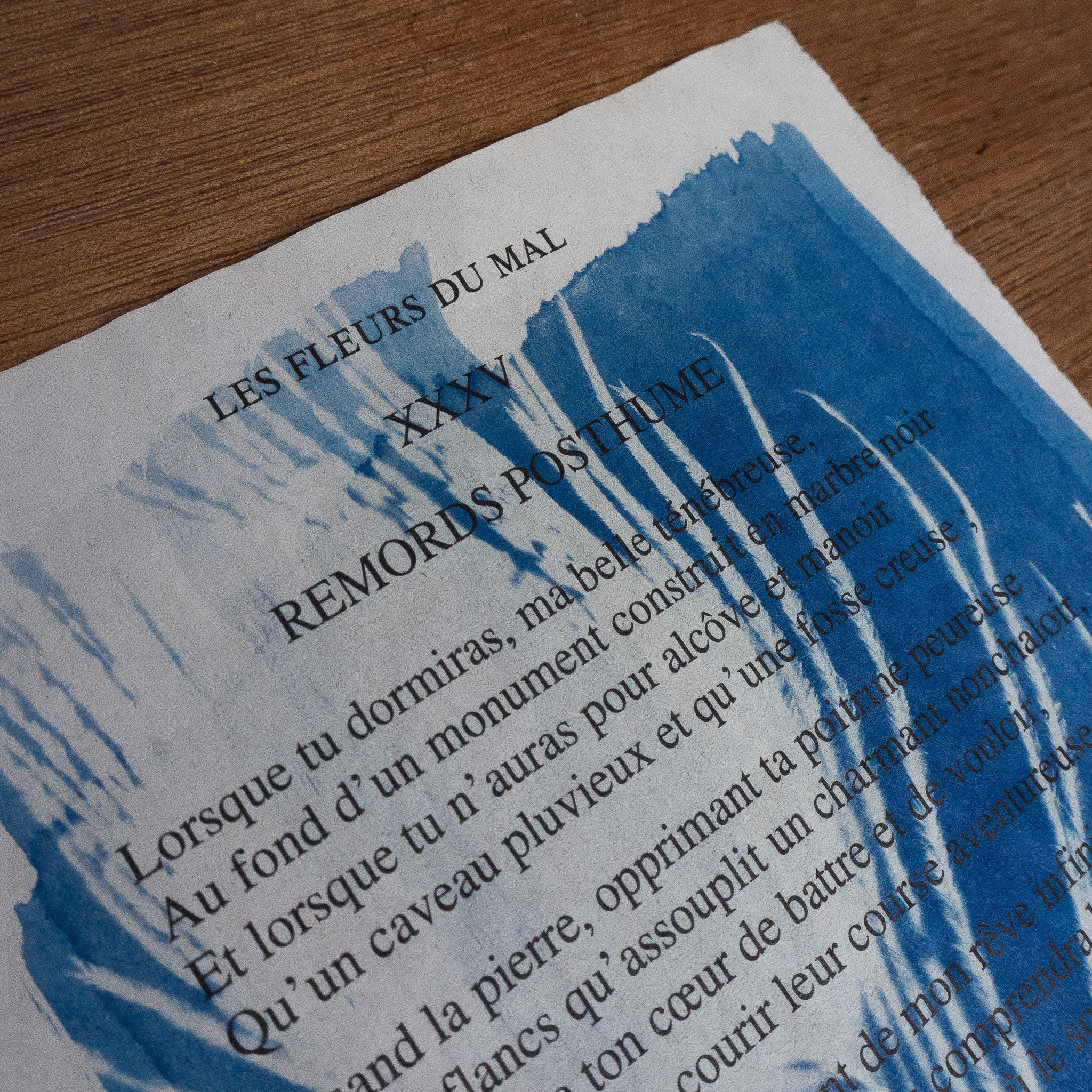 Cyanotype sur poésie - Remords Posthume / Le Chat