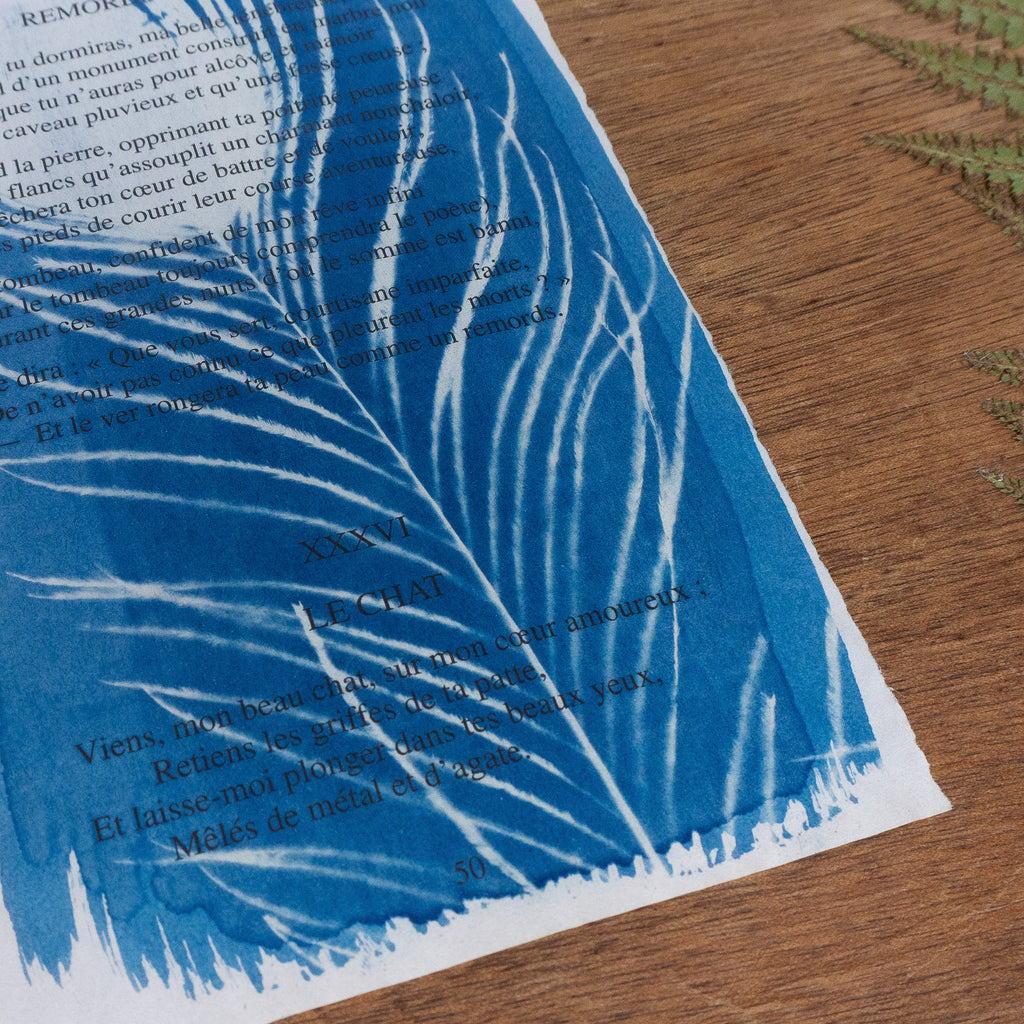 Cyanotype sur poésie - Remords Posthume / Le Chat