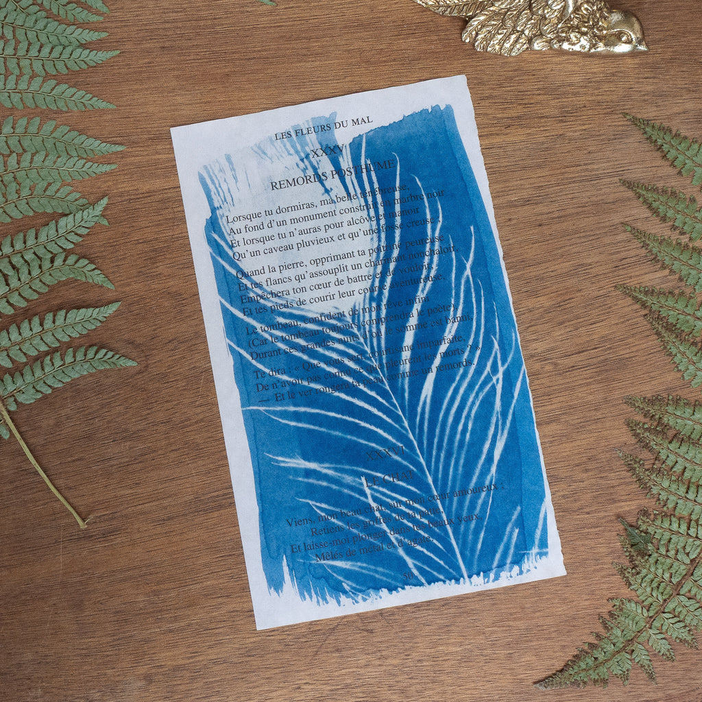 Cyanotype sur poésie - Remords Posthume / Le Chat