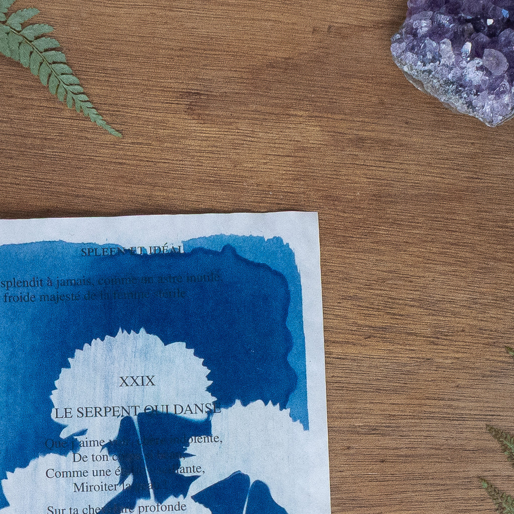 Cyanotype sur poésie - Le Serpent Qui Danse